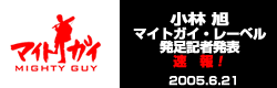 �L�Ҕ��\