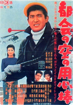 都会の空の用心棒